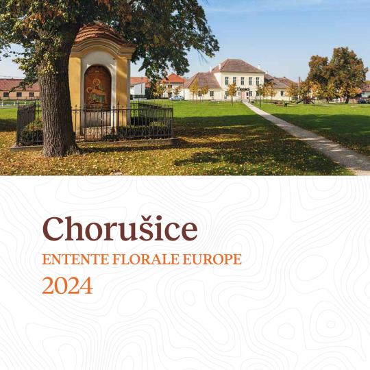Chorušice v publikaci